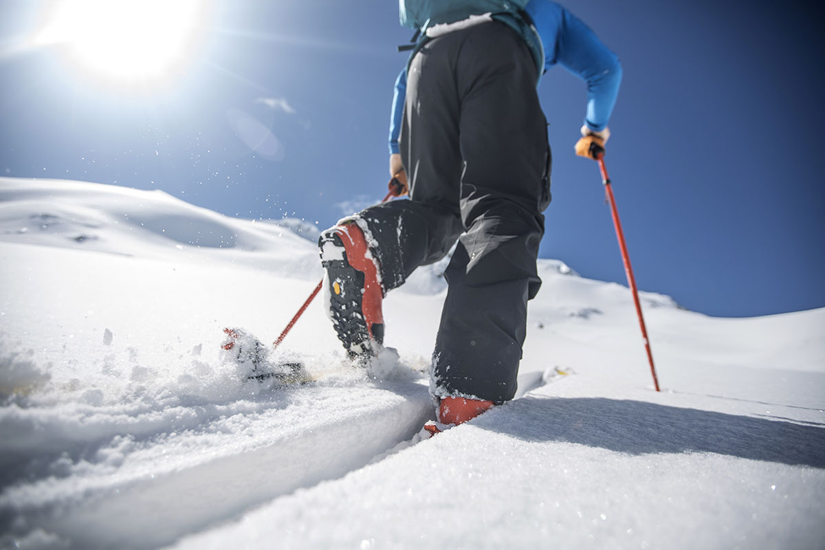 Swix Sales -Swix Sales Backcountry skis traveling uphill